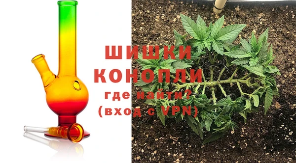 PSILOCYBIN Бронницы