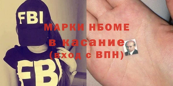 дмт Бородино