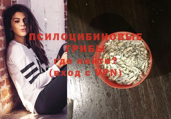 PSILOCYBIN Бронницы