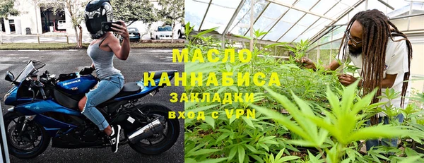 дмт Бородино