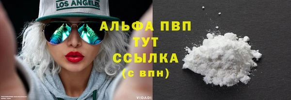 PSILOCYBIN Бронницы