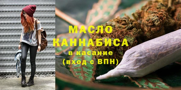 дмт Бородино