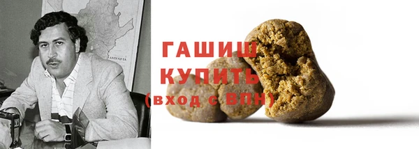 дмт Бородино