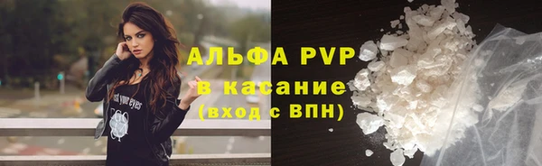 PSILOCYBIN Бронницы