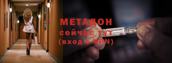 дмт Бородино