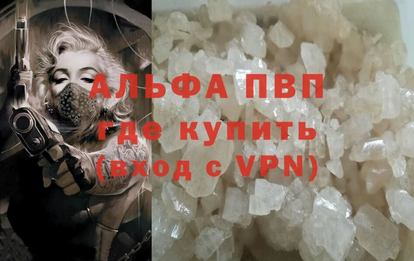 PSILOCYBIN Бронницы