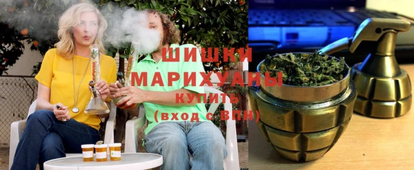 дмт Бородино