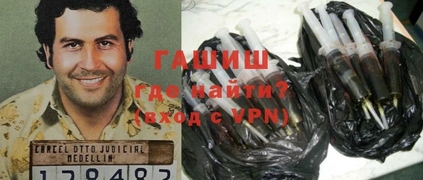 дмт Бородино