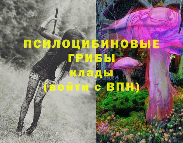 PSILOCYBIN Бронницы