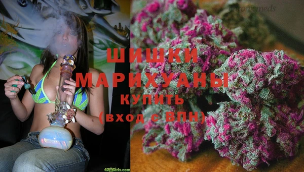 a pvp Богородск