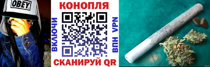 Канабис гибрид где купить omg маркетплейс Калининец